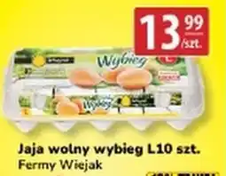 API MARKET Jaja wolny wybieg L oferta