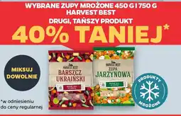 Netto Harvest Best zupy mrożone oferta