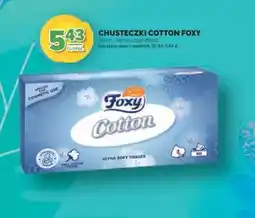 Stokrotka Market Chusteczki Cotton Foxy oferta