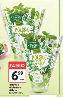 Intermarche Mięta Z Sadów I Pól oferta