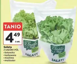 Intermarche Sałata multicolor Z Sadów I Pól oferta