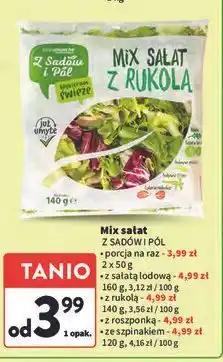 Intermarche Mix sałat ze szpinakiem Z Sadów I Pól oferta