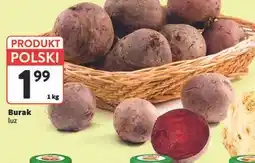 Intermarche Buraki polska oferta