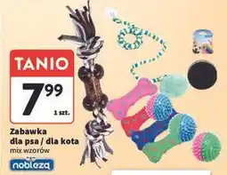 Intermarche Zabawka dla kota Nobleza oferta
