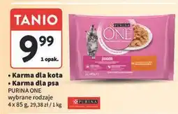 Intermarche Karma dla kota junior z kurczakiem i marchewką Purina One oferta