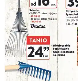 Intermarche Grabie 12 zębów oferta