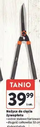 Intermarche Nożyce do cięcia żywopłotu Nexone oferta