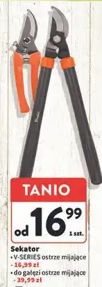 Intermarche Sekator do gałęzi Bradas oferta