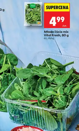 Biedronka Młode liście mix Vital Fresh oferta