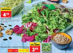 Biedronka Mieszanka sałat z roszponką Vital Fresh oferta