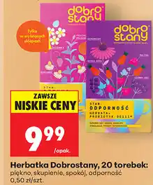 Biedronka Herbatka Dobrostany oferta