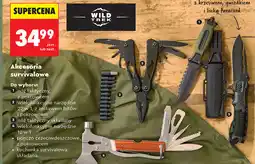Biedronka Nóż taktyczny z pokrowcem Wild Trek oferta