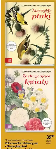 Empik Zielona Sowa Kolorowanka relaksacyjna oferta