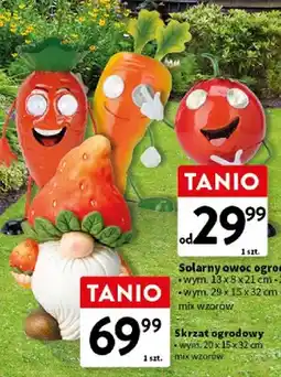 Intermarche Skrzat ogrodowy oferta