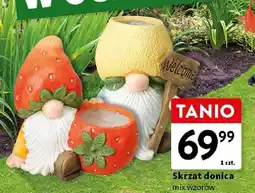Intermarche Skrzat donicą oferta