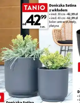 Intermarche Doniczka Satina z wkładem oferta