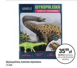 Empik Geniuz Wykopaliska Szkielet Diplodoka oferta