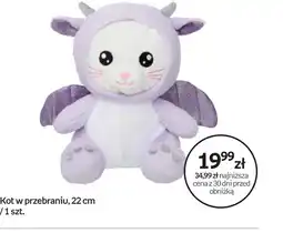 Empik Kot w przebraniu oferta