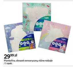 Empik Piankolina, obrazek sensoryczny oferta