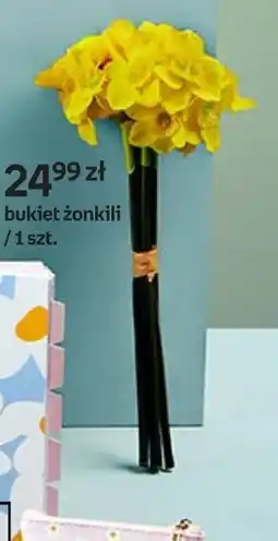 Empik Bukiet żonkili oferta