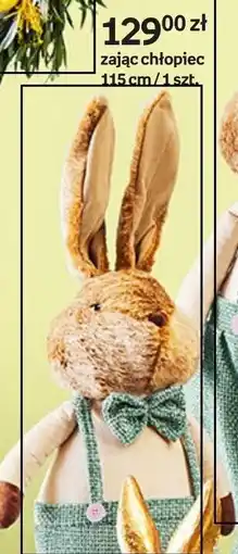 Empik Zając chłopiec oferta