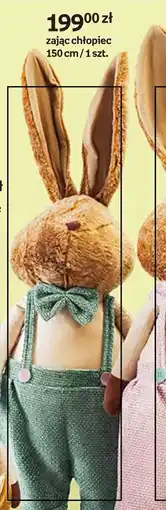 Empik Zając chłopiec oferta