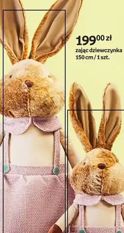 Empik Zając dziewczynka oferta