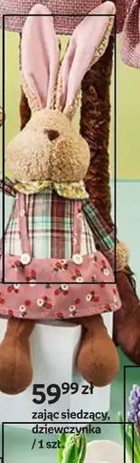 Empik Zając siedzący oferta