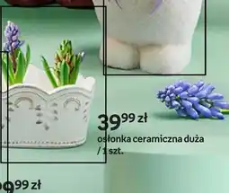 Empik Osłonka ceramiczna duża oferta