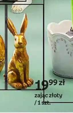 Empik Zając złoty oferta