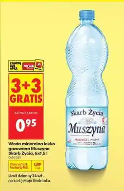Biedronka Woda mineralna lekko gazowana Muszyna Skarb Życia, 6x1,5 l oferta