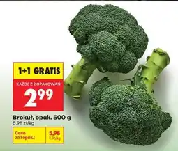 Biedronka Brokuł opak 500 g oferta