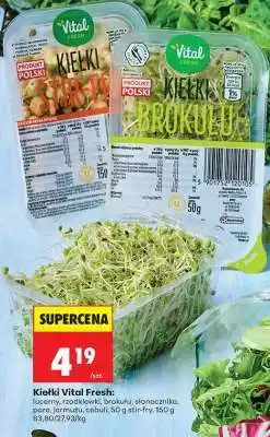 Biedronka Kiełki Vital Fresh oferta