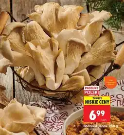 Biedronka Boczniak, opak. 250 g oferta