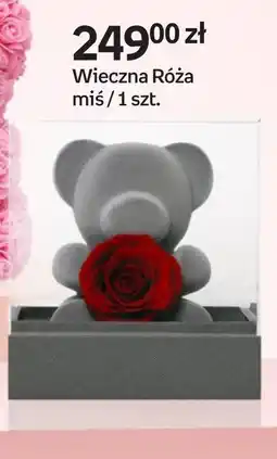 Empik Wieczna Róża miś oferta