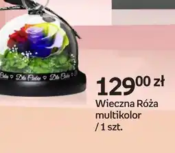 Empik Wieczna Róża oferta