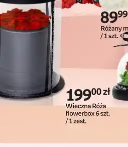 Empik Wieczna Róża flowerbox oferta