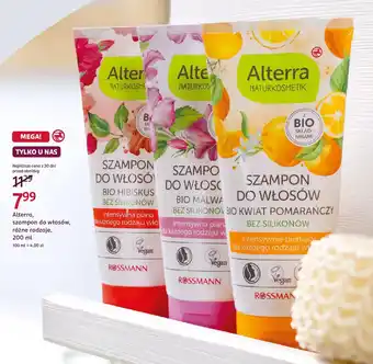 Rossmann Alterra, szampon do włosów oferta