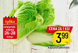 Delikatesy Piotruś Pan Kapusta pekińska oferta