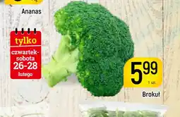 Delikatesy Piotruś Pan Brokuł oferta