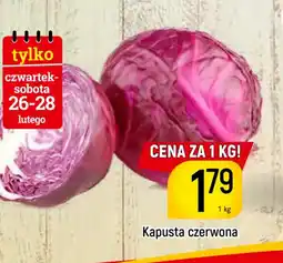 Delikatesy Piotruś Pan Kapusta czerwona oferta
