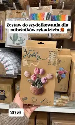 Pepco Zestaw do szydełkowania kwiatów oferta