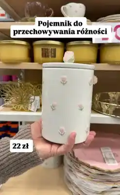 Pepco Pojemnik do przechowywania w kwiaty oferta