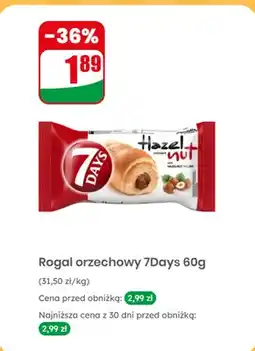 Dino Rogal orzechowy oferta