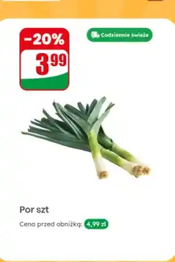 Dino Por 1 szt oferta