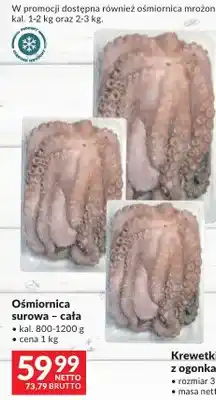 Makro Ośmiornica surowa – cała oferta