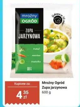 Dino Zupa jarzynowa oferta