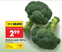 Biedronka Brokuł opak oferta