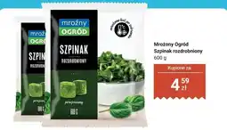 Dino Szpinak rozdrobniony oferta