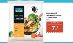 Dino Warzywa na patelnię z ziemniakami oferta